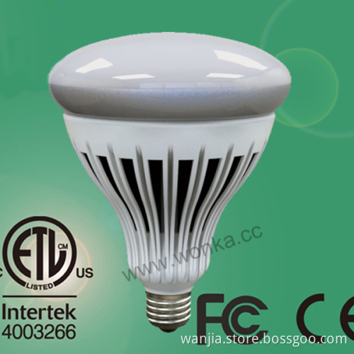 A2 2000lm Energy Star Dimmable R40 Bulb